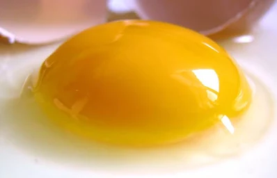 فروش زرده تخم مرغ مایع تلاونگ